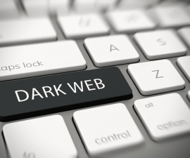 darkweb (1)