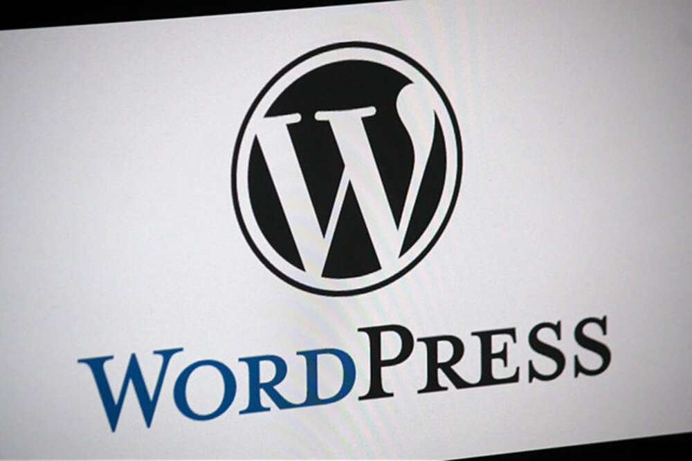 wordpress